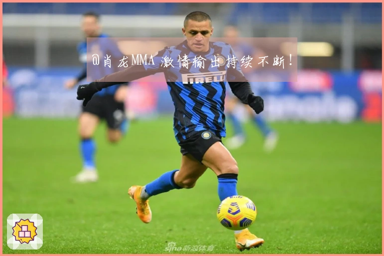 @肖龙MMA 激情输出持续不断!