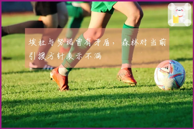 埃杜与努诺曾有矛盾，森林对当前引援方针表示不满